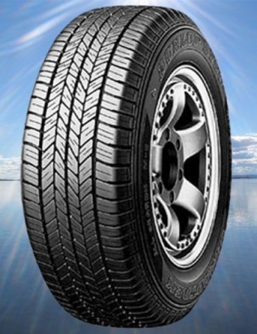 Dunlop___4x4_____4c175d4e97464.jpg
